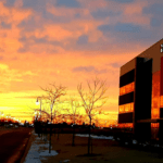 La nouvelle entreprise de cannabis Navaya choisit Torchia comme agence de services conseils et de gestion en communication